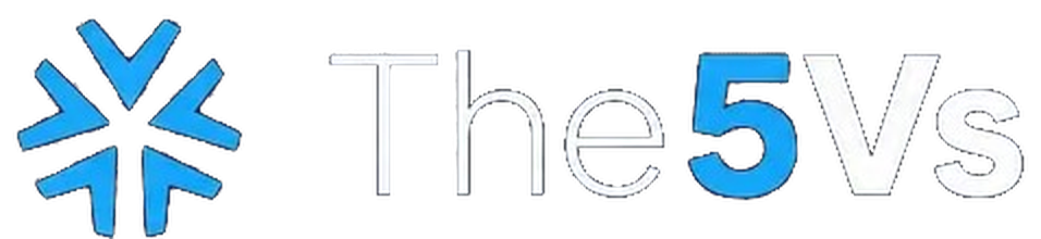 The5Vs · AI & Data Agency